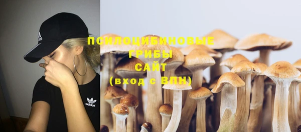 спиды Верея