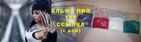 спиды Верея