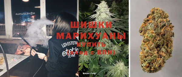 спиды Верея