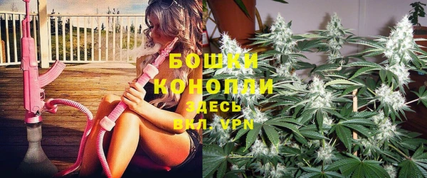 спиды Верея